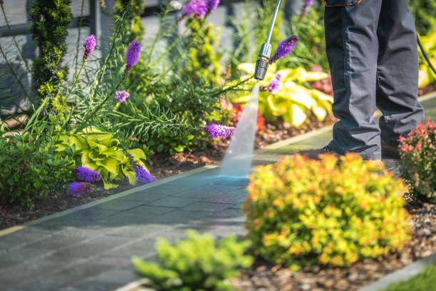 Best Sidewalk and Walkway Cleaning  in Prairie Du Chien, WI